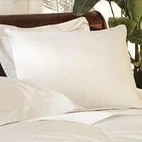 Down Surround Queen Pillow Set - Featured in Many Marriott Hotels