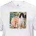 Afghan Hound - Toddler T-Shirt (4T)