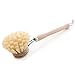 Gute Beautiful Soft Horsehair Bristle Dish Brush 2-inch Head, 7-1/2 Inch Long Beechwood Handle (Beechwood)