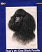 Black Poodle Dogs by Killen Lg House Flag or Banner