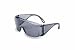 Stanley RST-61002 Polysafe Economy Safety Glass, Gray Frame and Lens