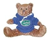 Champion Treasures NCAA Florida Gators Hoodie Bear