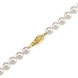 14K Yellow Gold Clasp Akoya Cultured Pearl Strand - 18"