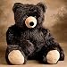 Plush Brutus Black Bear 50
