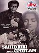 Sahib Bibi Aur Ghulam [DVD] [1962] [NTSC]