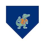 Florida Gators NCAA Team Fleece Blanket/Throw (60x50)
