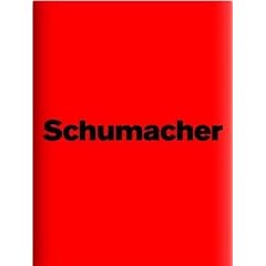 Michael Schumacher: Die offizielle und autorisierte Inside Story zum Karriere-Ende