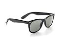 Zoom Classic Sunglasses in Wayfarer Styling, Black Plastic Frame/Smoke Lenses and Metal Studs
