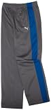 Puma Boys 8-20 7cm Track Pant