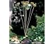 Kitchen & Housewares : Gaiam Garden Bells, Outdoor Brass Chimes