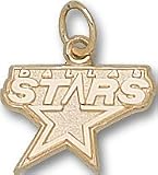 Dallas Stars Logo 3/8" Sterling Silver Charm/Pendant