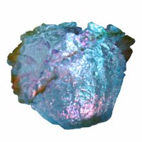 Buy Illuminated Coral Reef Clam – Medium – 5 in. x 2 12 in. x 3 in.