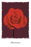 Passionata (Single Red Rose) Art Poster Print - 16