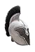 TROJAN HELMET WITH BLACK PLUME