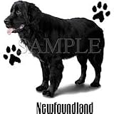 Newfoundland Adult Long Sleeve T-Shirt