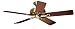Hunter 20510 Savoy 52-Inch Five-Blade Ceiling Fan, Antique Brass