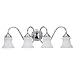 Sea Gull Lighting 40023-05 Darien Four-Light Vanity, Chrome Finish with Etched Opal Glass