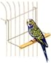 Small Moveable Perch Black 8x4x4