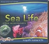 Sea Life Video Screensavers