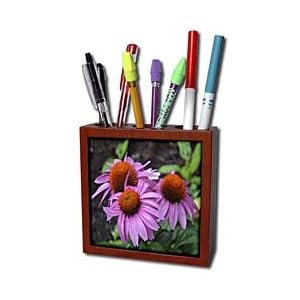WhiteOak Photography Floral Prints - Coneflowers Aug 2011 Coneflowers - Tile Pen Holders-5 inch tile pen holder