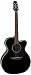 Musical Instruments : Takamine TF241DLX Jumbo Cutaway Acoustic-Electric Guitar