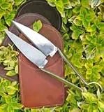 Stainless steel topiary shears in leather holster