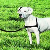 Easy Walk Harness and Leash (Medium-Girth Adjusts 20-26, 6' Leash 3/4 Wide, Black/Silver Color)