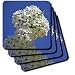 Flowers in a Blue Sky- Flowering Tree- Spring Photography - Set Of 8 Ceramic Tile Coasters