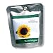 Kitchen & Housewares : Mini Sunflower Pocket Garden Gift
