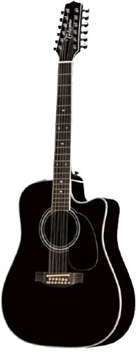 Childrens Toyshop  Musical Instruments : Takamine EF381SC Dreadnought Cutaway 12-String Acoustic-Electric Guitar