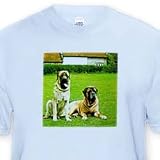 Mastiff - Light Blue Infant Lap-Shoulder Tee (24M)