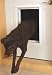Plexidor Electronic Door Mount - Bronze Frame, flap size 12 3/4 x 20