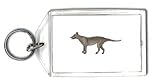 Keychain with Australia, Tasmanian tiger, Tasmanian wolf, extinct, thylacine, animal, marsupial