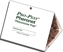 Pantry Moth Traps - Set of Two