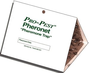 Pantry Moth Traps - Set of Two