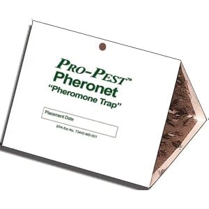 Pantry Moth Traps - Set of Two
