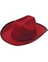 Country Girls Maroon Cowboy Cow Boy Felt Costume Hat