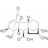 Gibberellic Acid 5 Grams