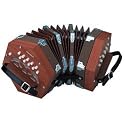 Hohner D40 Concertina