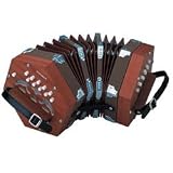 Hohner D40 Concertina