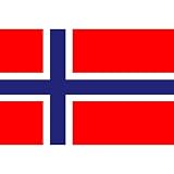 Norway National Flag Poster Print - 11x17