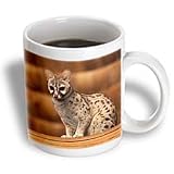31W8Ic9KIUL. SL160  Tanzania, Ngorongoro Conservation, Civet wildlife AF45 RBE0377   Ralph H. Bendjebar   11oz Mug Reviews