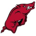 NCAA Arkansas Razorbacks - 3 Large Wall Accent Murals / Stickers