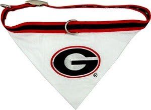 Georgia Bulldogs Bandana and Leash Set Size Large