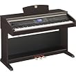 Clavinova CVP-501