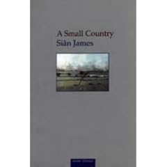 A Small Country (Seren Classics)