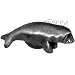 Manatee Knob-Pewter