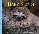 Baby Sloth (Nature Babies)