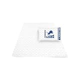 Detroit Lions Sheet Set - Twin