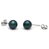 Pair of 7.0-7.5 mm, AA+ Quality, Black Akoya Pearl Stud Earrings